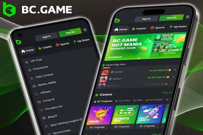 Ultimate BC.Game Bonus Guide Maximize Your Gaming Experience Ultimate BC.Game Bonus Guide Maximize Your Gaming Experience